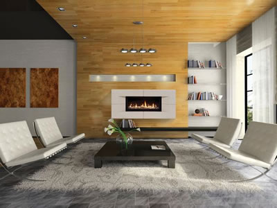 Fireplace_Pictures/Modern Fireplace in Boulder, Co